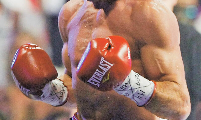 Mănuşile lui Bute, scoase la licitaţie